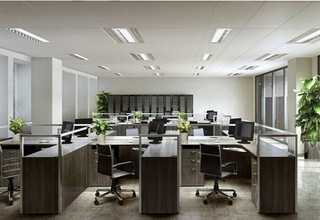 摩洛哥橙花精油功效