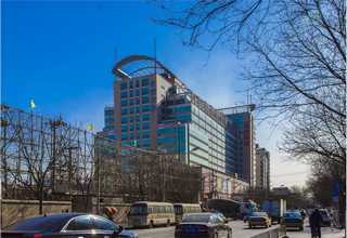 通用绿植租摆市场价格